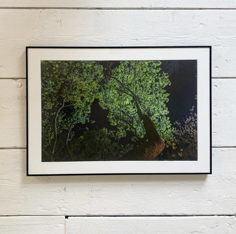 Micheal Sibilia Photograph - Matthew Izzo Home